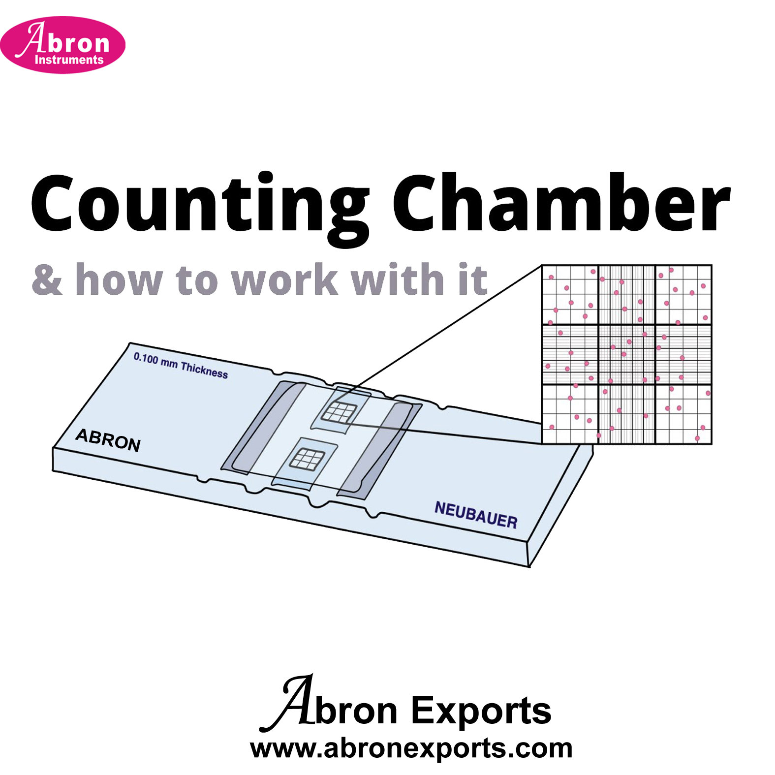 Haemocytometer Spare Counting Chmaber Neubauer Haemocytometry Slide Pharmacy Medical College Demo Abron ABM-2175HC or AB-72SP  